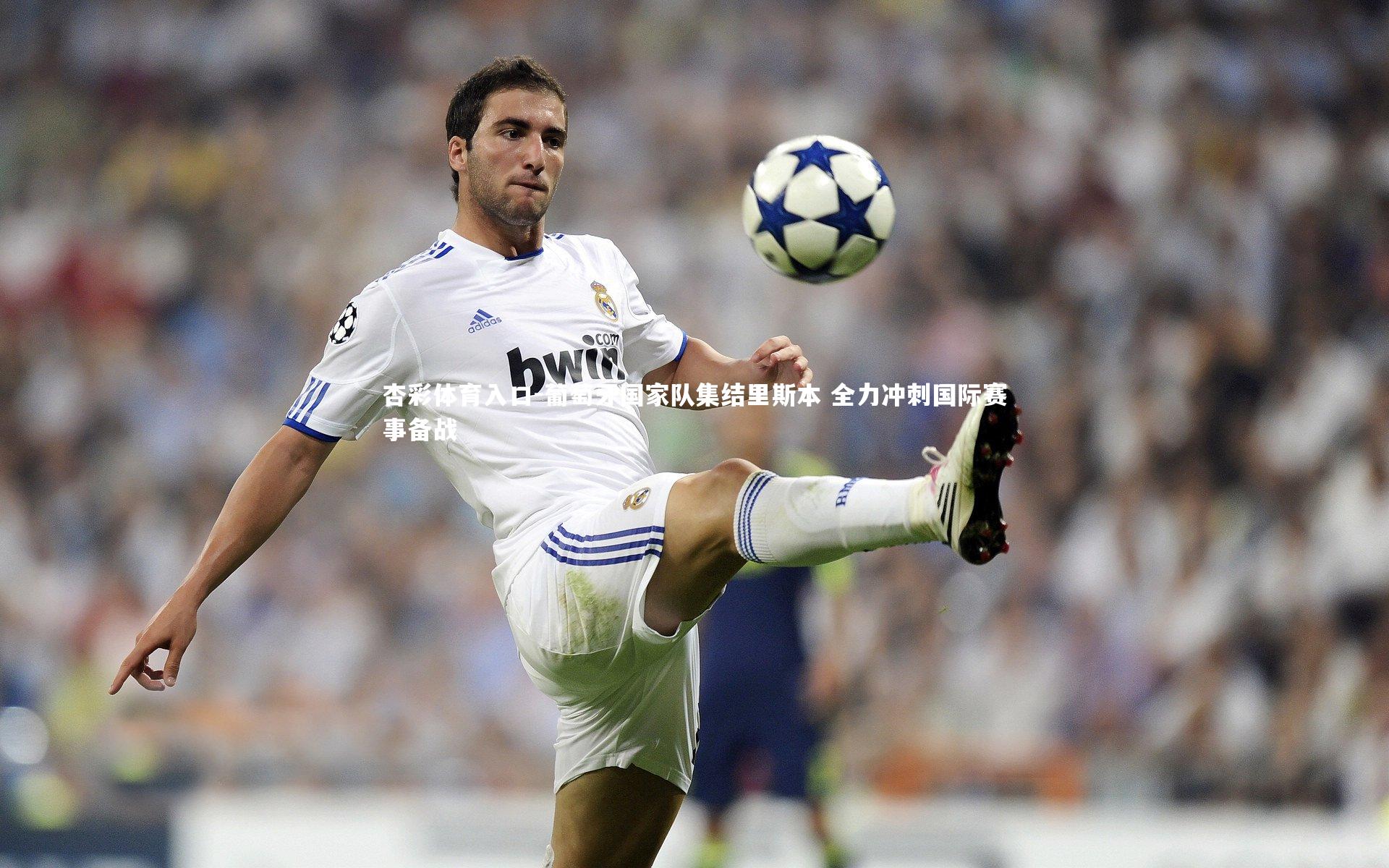 葡萄牙国家队集结里斯本 全力冲刺国际赛事备战